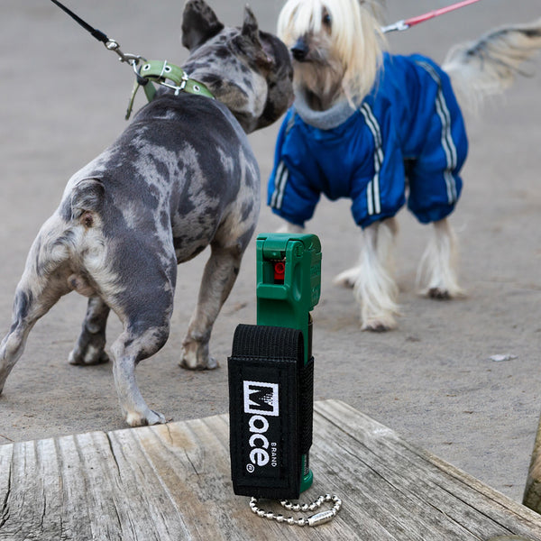 Protector Runner Dog Spray